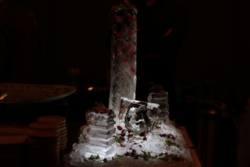 Daniella Rahmeh's Birthday Party 